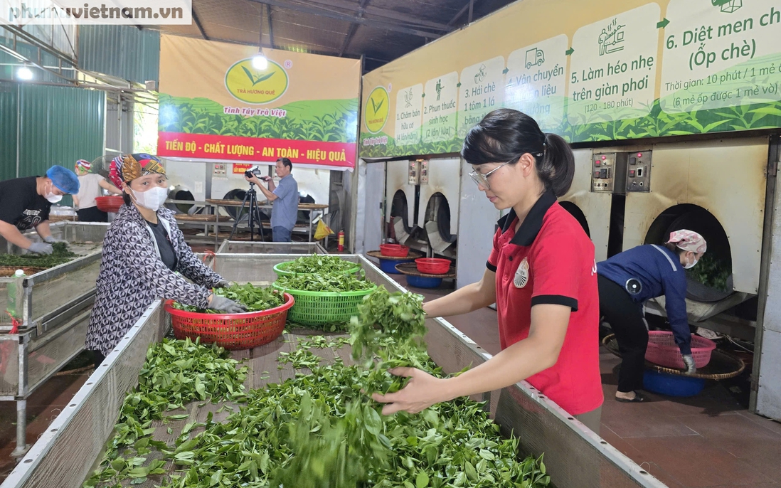 Tạo việc làm, nâng cao thu nhập cho phụ nữ, chung sức xây dựng nông thôn mới nâng cao