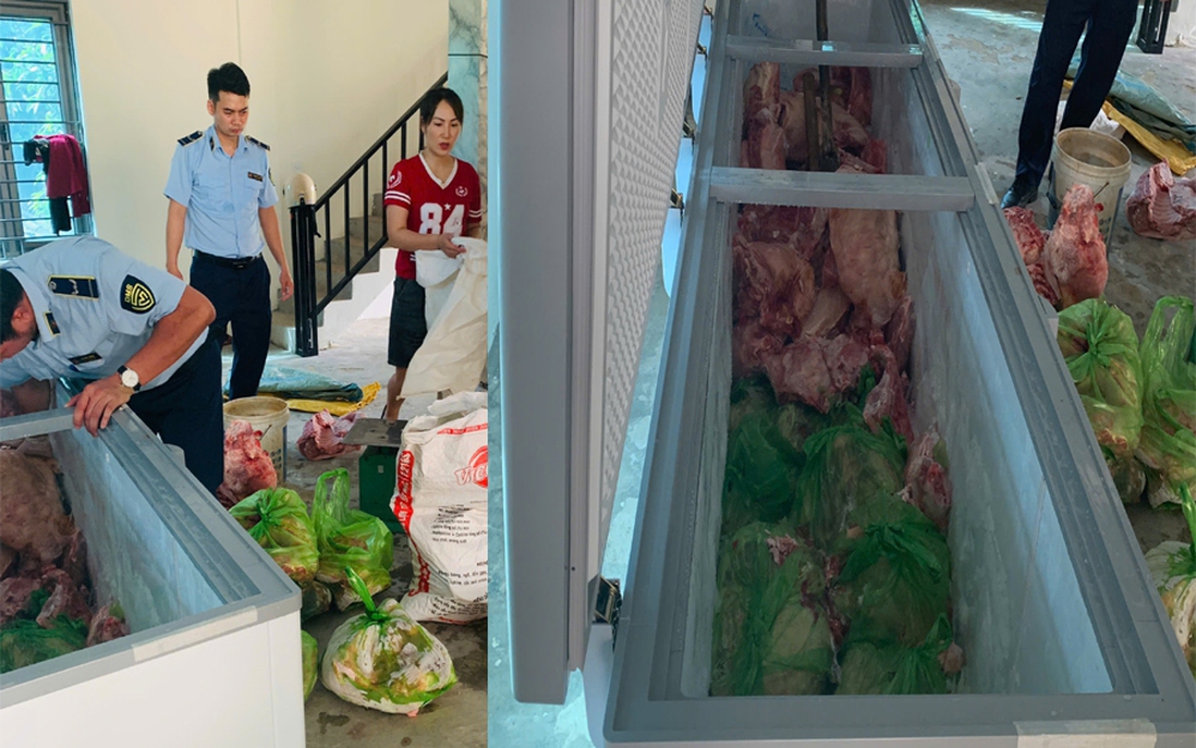 Mua lợn nhiễm dịch tả lợn châu Phi để giết mổ bán ra thị trường