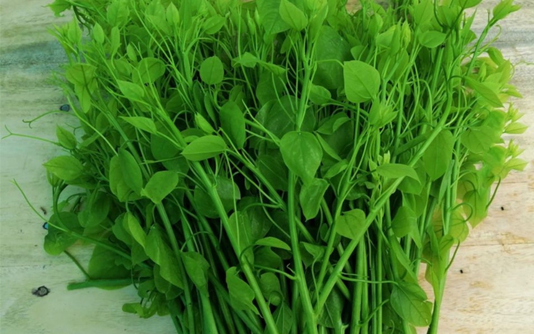 Phụ nữ xã Ba Bể: Phát triển mô hình đặc sản rau bò khai