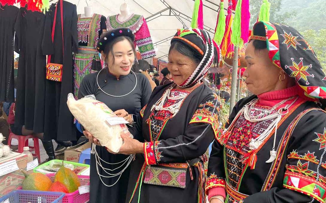Tuyên Quang: Phụ nữ tham gia kinh tế tập thể, tạo động lực xây dựng nông thôn mới