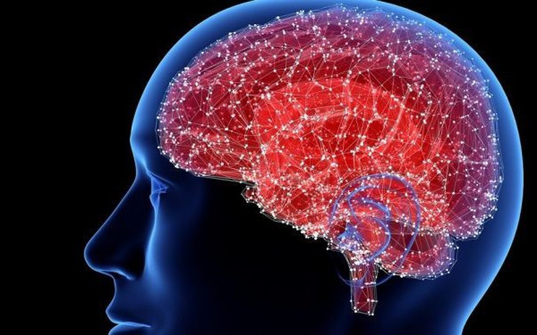 Nghiên cứu mới về điều trị bệnh Alzheimer bằng từ trường