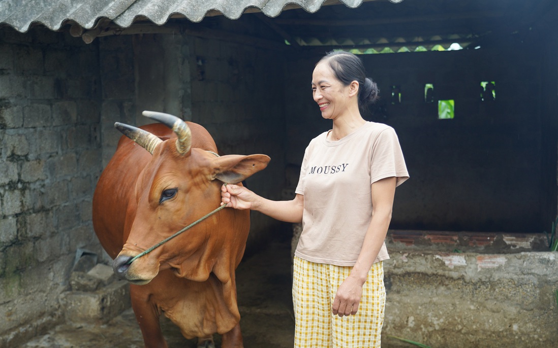 "Giảm nghèo thông tin" giúp phụ nữ thoát nghèo bền vững 