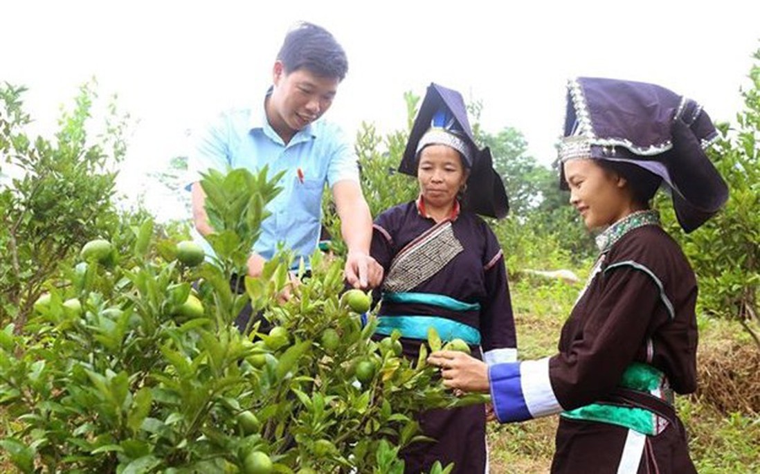 Lào Cai: Phấn đấu đến 2030 tỷ lệ lao động người dân tộc thiểu số qua đào tạo đạt 50%