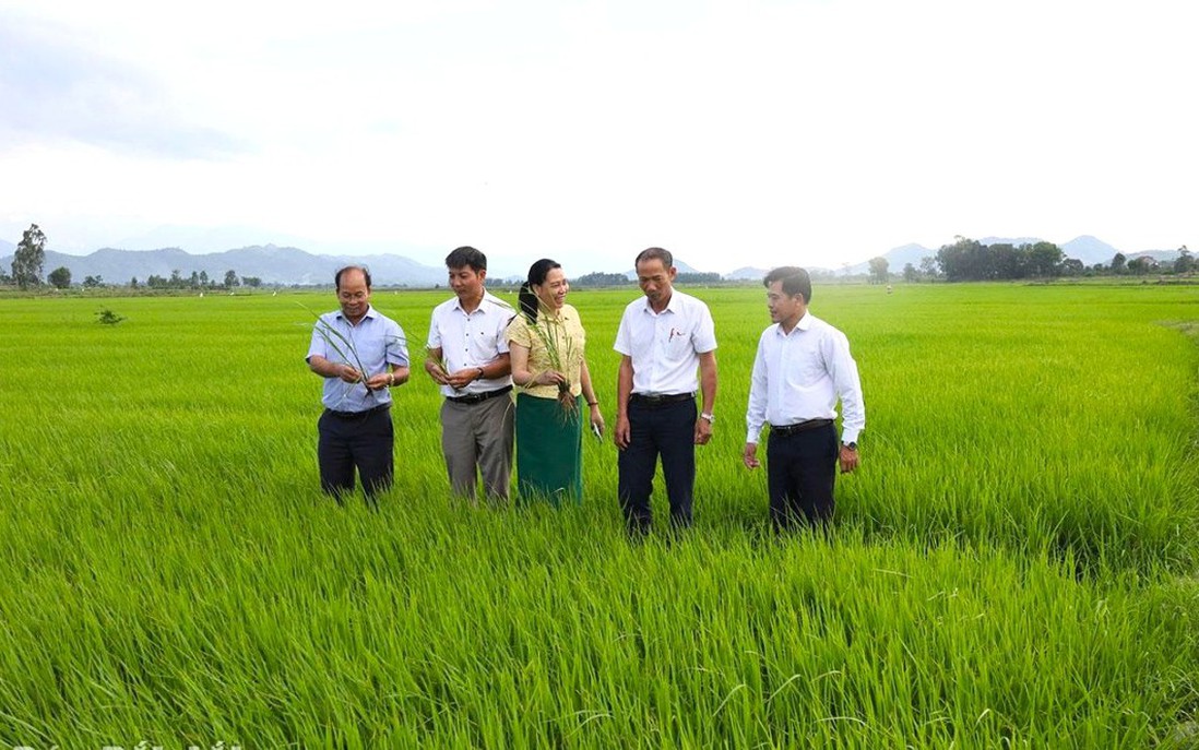 Phát huy nội lực của nhân dân trong xây dựng nông thôn mới 