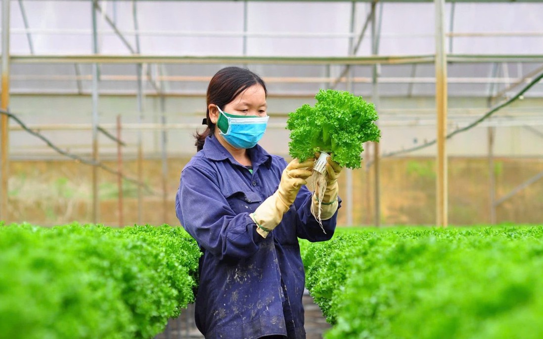 Chợ an toàn thực phẩm góp phần phát triển toàn diện nông thôn mới