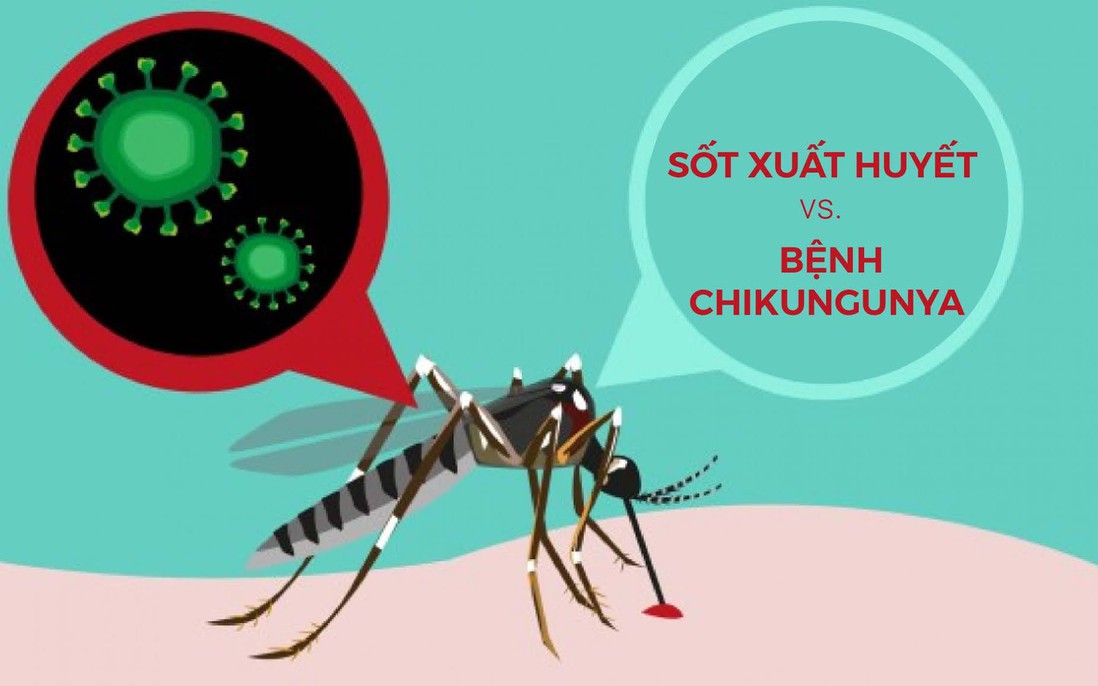 Cách nhận biết bệnh Chikungunya và biện pháp phòng ngừa hiệu quả