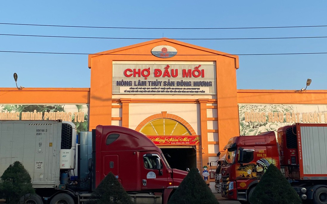 "Biến hóa" thu chi để trốn thuế gây thất thoát trên 11 tỷ đồng cho ngân sách Nhà nước