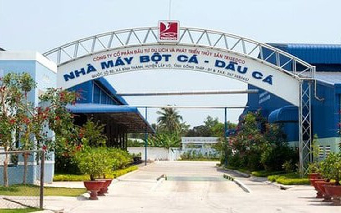 Cổ phiếu DAT của Trisedco tăng trần 6 phiên liên tiếp, hé lộ mối liên hệ với Tập đoàn Sao Mai
