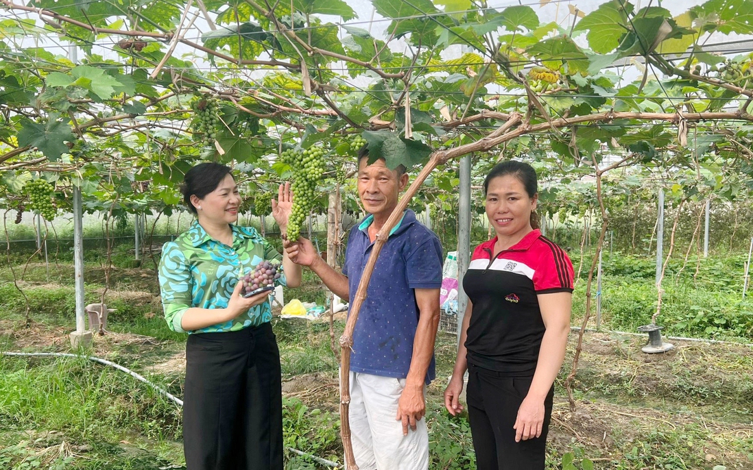 Bắc Ninh: Phụ nữ là nòng cốt, tích cực, chủ động xây dựng nông thôn mới