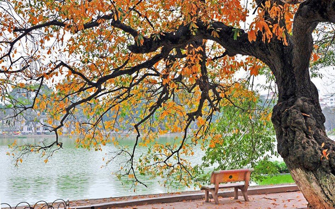 Hà Nội lọt top những điểm đến mùa thu đẹp nhất châu Á