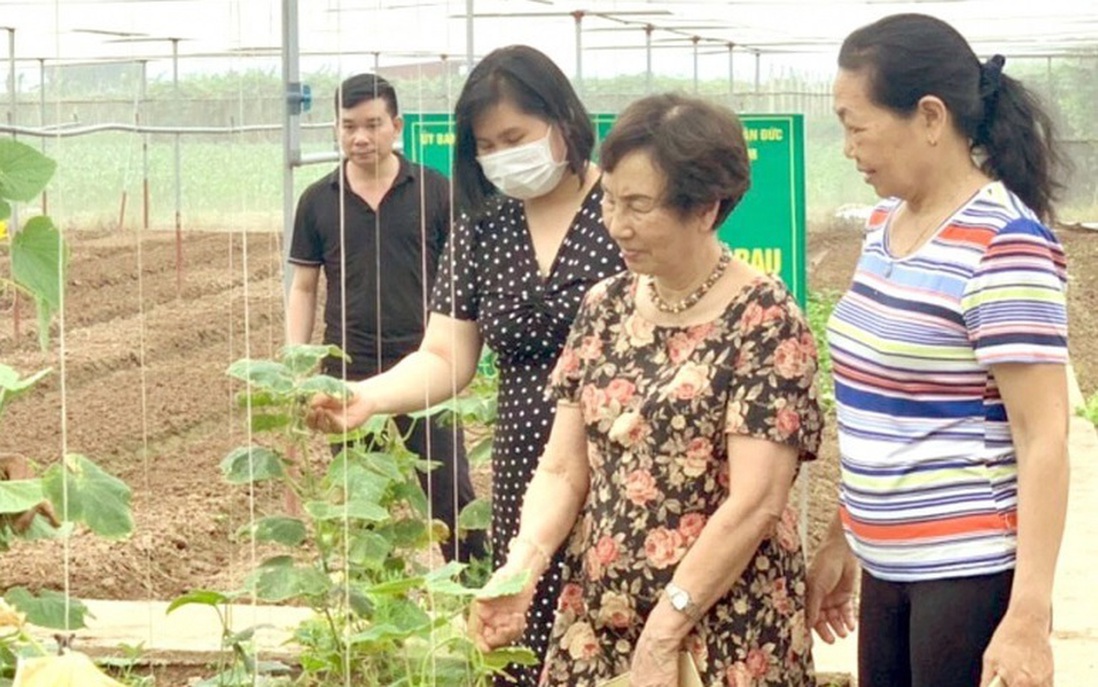 Ngoài miễn thuế thu nhập, cần thêm cơ chế thúc đẩy vai trò nhà khoa học nữ 