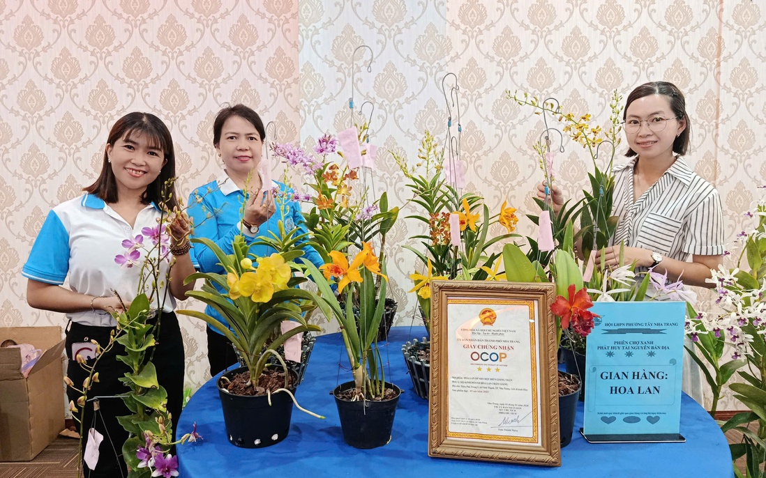 Hội LHPN Khánh Hòa tổ chức nhiều hoạt động chào mừng 95 năm thành lập Hội LHPN Việt Nam