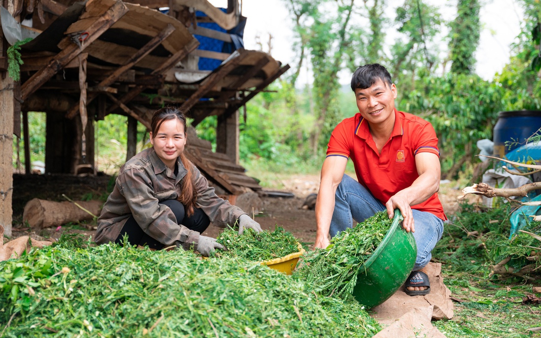 Cuộc sống của phụ nữ Tây Nguyên đổi thay nhờ tư duy sản xuất mới