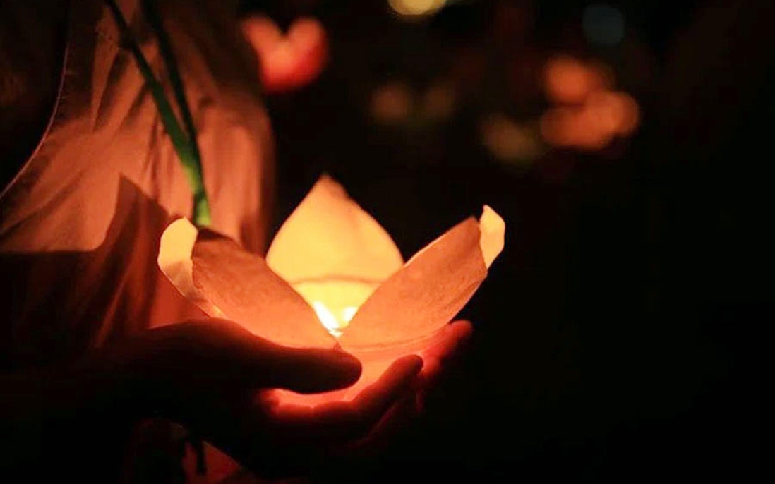 Bông hoa hồng đỏ trong lễ Vu Lan của cô gái mồ côi