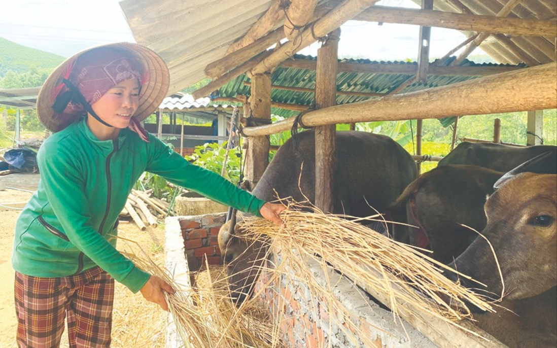 Phụ nữ dân tộc thiểu số Quảng Ngãi tự tin vươn lên làm kinh tế
