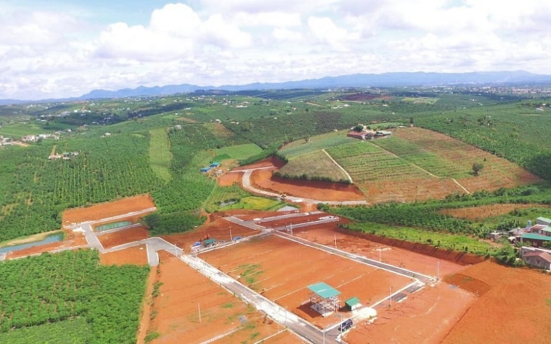 Đề xuất miễn phí chuyển đổi mục đích sử dụng đất trong hạn mức: Chuyên gia ủng hộ, người dân vui mừng