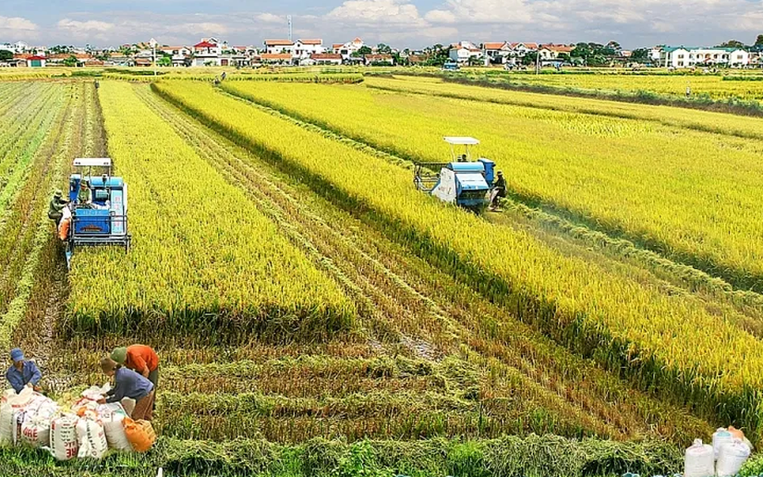 Các trường hợp được miễn thuế sử dụng đất nông nghiệp từ 1/1/2026 