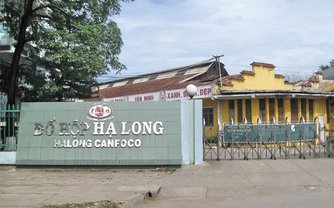 Bắt Tổng giám đốc Công ty Đồ hộp Hạ Long cùng 3 nhân viên