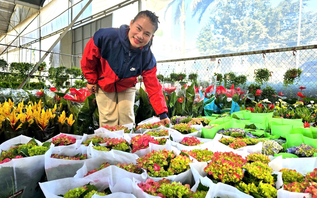Làng hoa Xuân Quan đắt hàng sớm, giá tăng 10%-15% trong vụ Tết