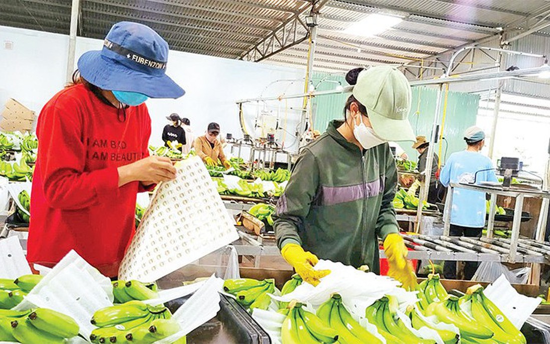 Hơn 10.000 tỷ đồng đầu tư: Đòn bẩy cho công nghiệp Gia Lai năm 2026