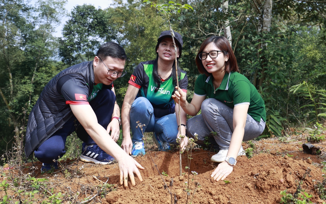 Phát động "Ngày trồng cây cộng đồng 2026", góp tre chống lũ tại Nghệ An
