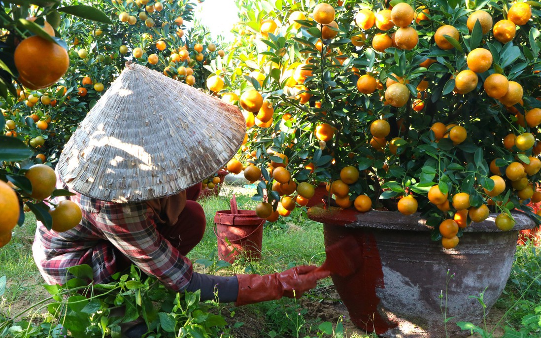 Những phụ nữ giữ nhịp Tết ở "thủ phủ quất lớn nhất miền Trung"