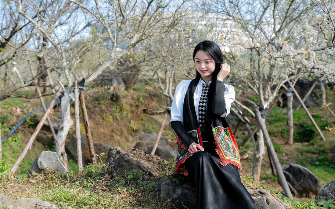 Giới trẻ "rần rần" check-in cây mận cổ thụ trắng muốt đẹp như phim tại Sun World Fansipan Legend