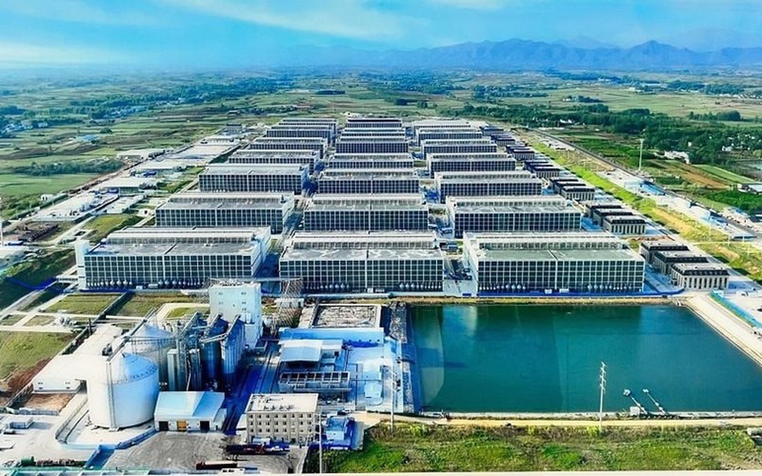 BaF Việt Nam lỗ kỷ lục: Biên lợi nhuận gãy, dòng tiền âm