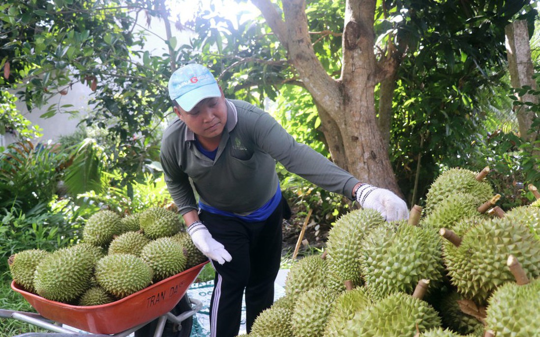 Đến hết năm 2026 sẽ triển khai thí điểm Hệ thống truy xuất nguồn gốc nông sản