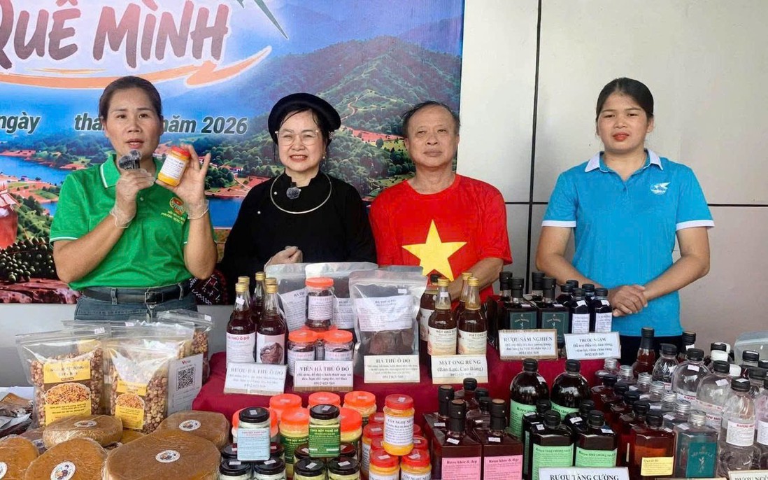 Cao Bằng định hướng khởi nghiệp, tạo động lực phát triển kinh tế cho phụ nữ