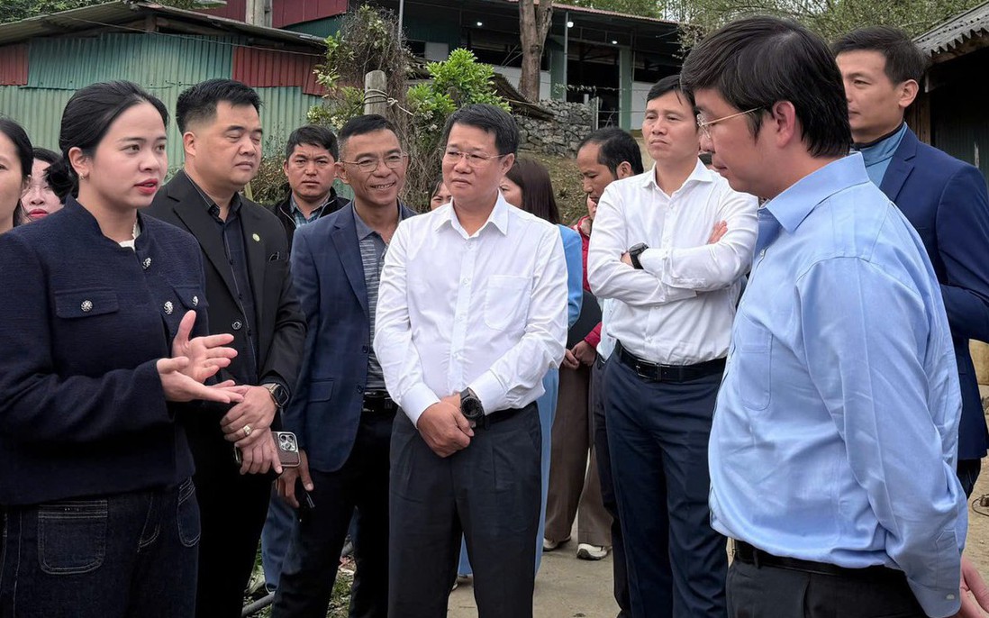 Từ lá chè ép trong trang vở, người phụ nữ rời phố về quê "đánh thức" giá trị chè cổ thụ