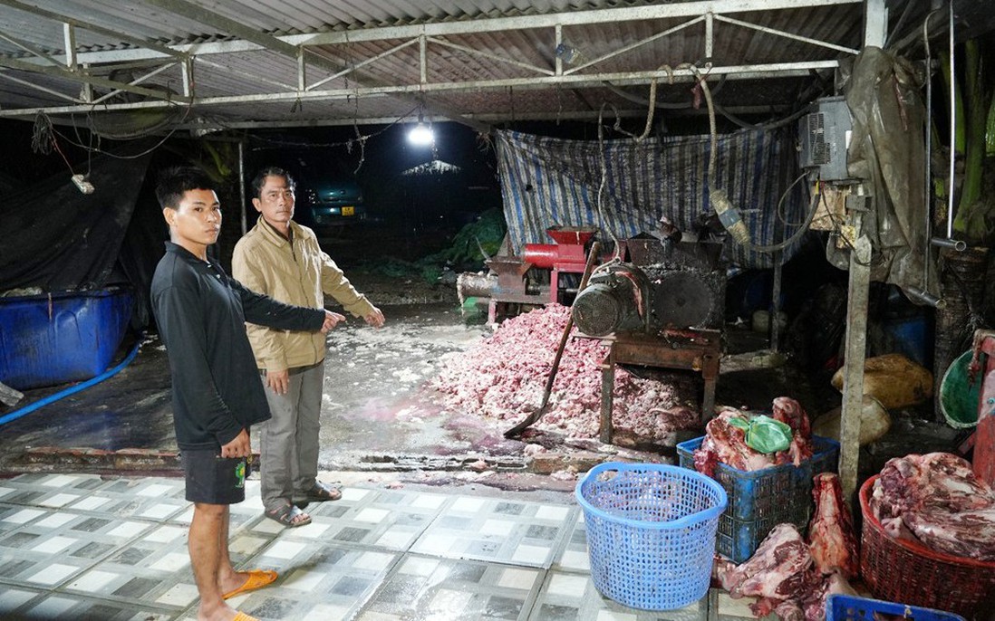 Triệt phá đường dây tiêu thụ khoảng 400 tấn lợn bệnh, lợn chết