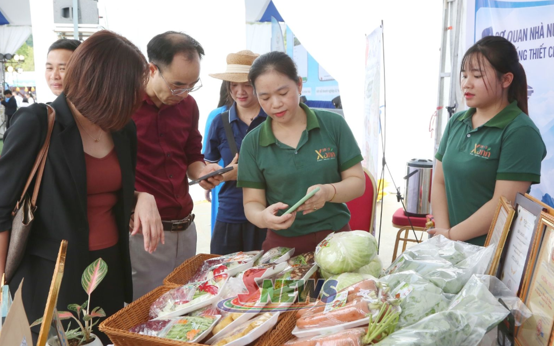 Phụ nữ dân tộc thiểu số Sơn La tăng thu nhập nhờ liên kết sản xuất
