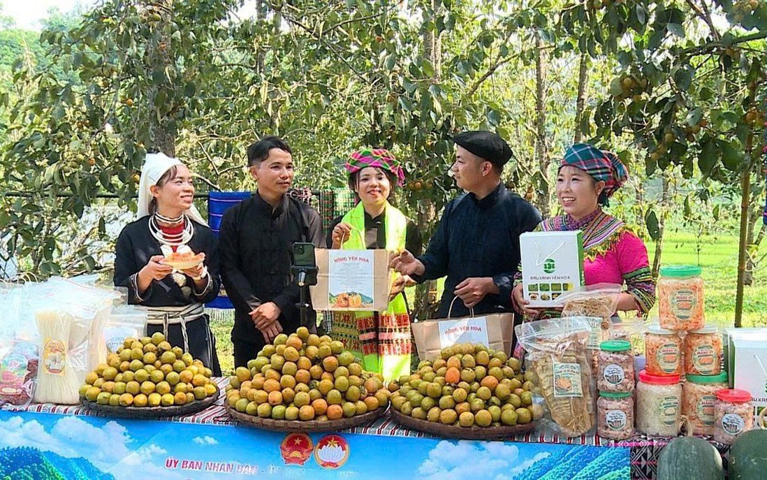 Phụ nữ Tuyên Quang nâng cao năng lực số, thúc đẩy khởi nghiệp
