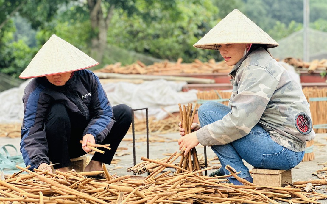 Cơ sở do phụ nữ làm chủ được ưu tiên hỗ trợ khuyến công: Động lực mới từ chính sách 
