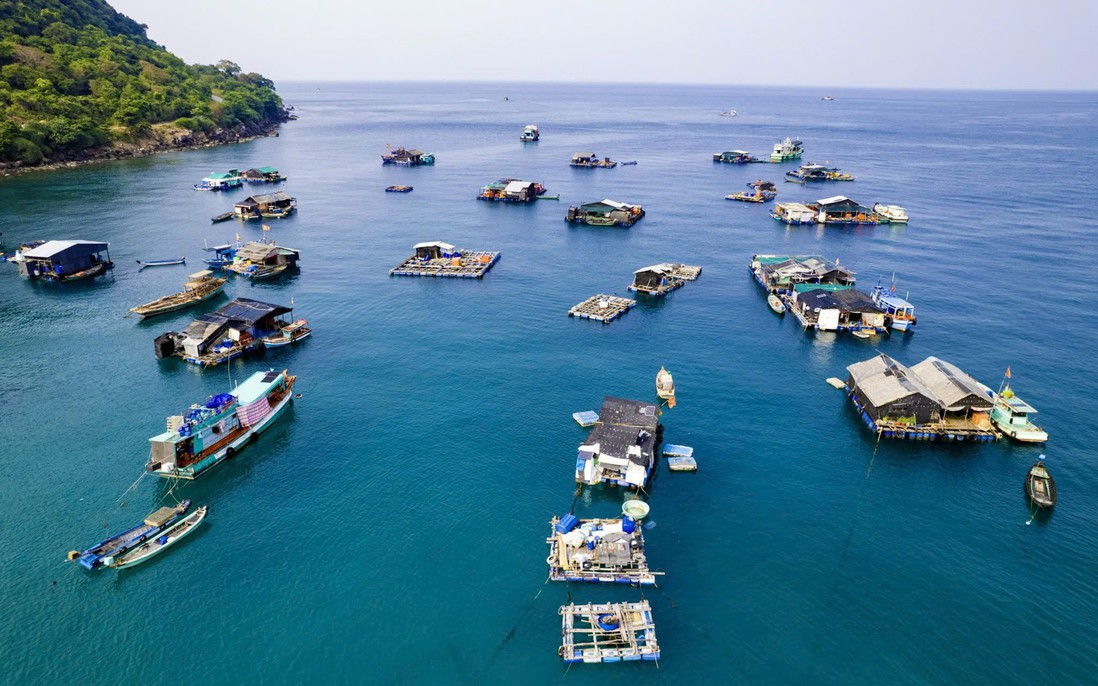 An Giang nghiên cứu chính sách xây dựng làng nuôi biển hiện đại
