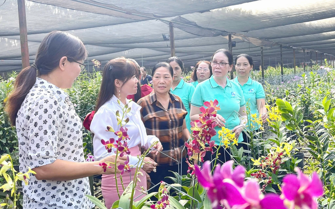 Phụ nữ xã Nhuận Đức học hỏi kinh nghiệm khởi nghiệp với nghề trồng lan