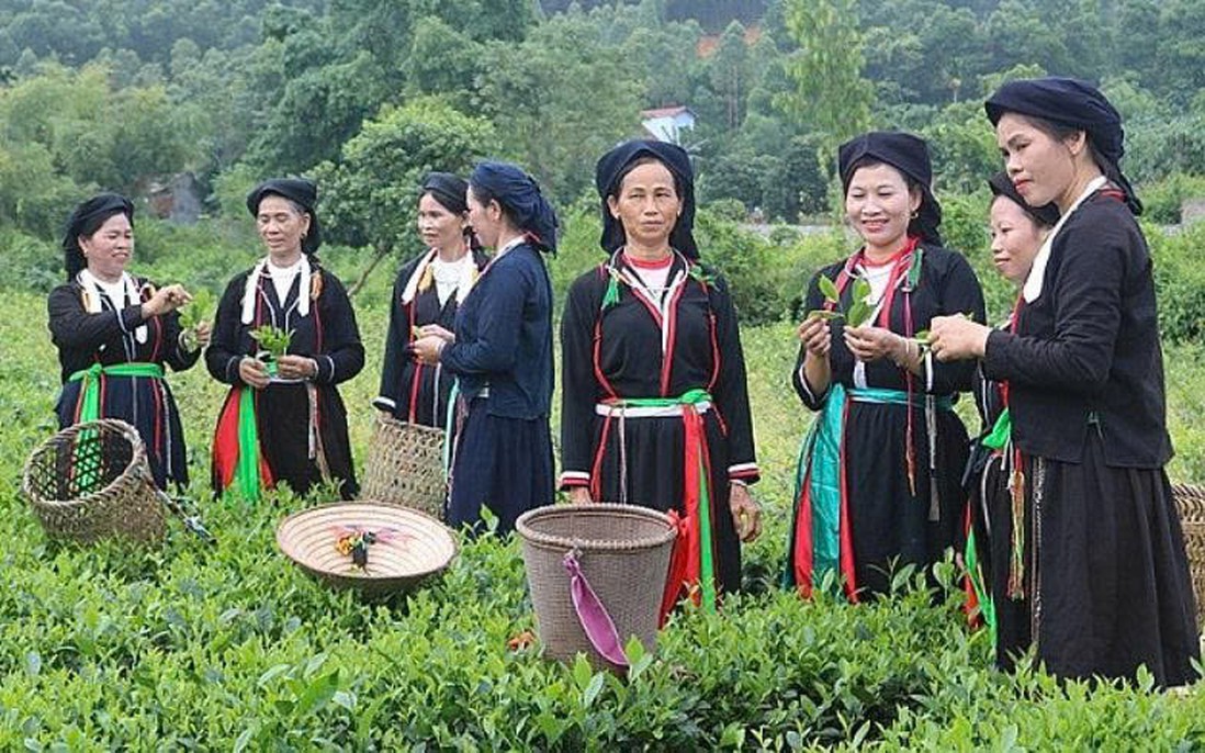 Thái Nguyên tập trung nguồn lực phát triển vùng đồng bào dân tộc thiểu số và miền núi