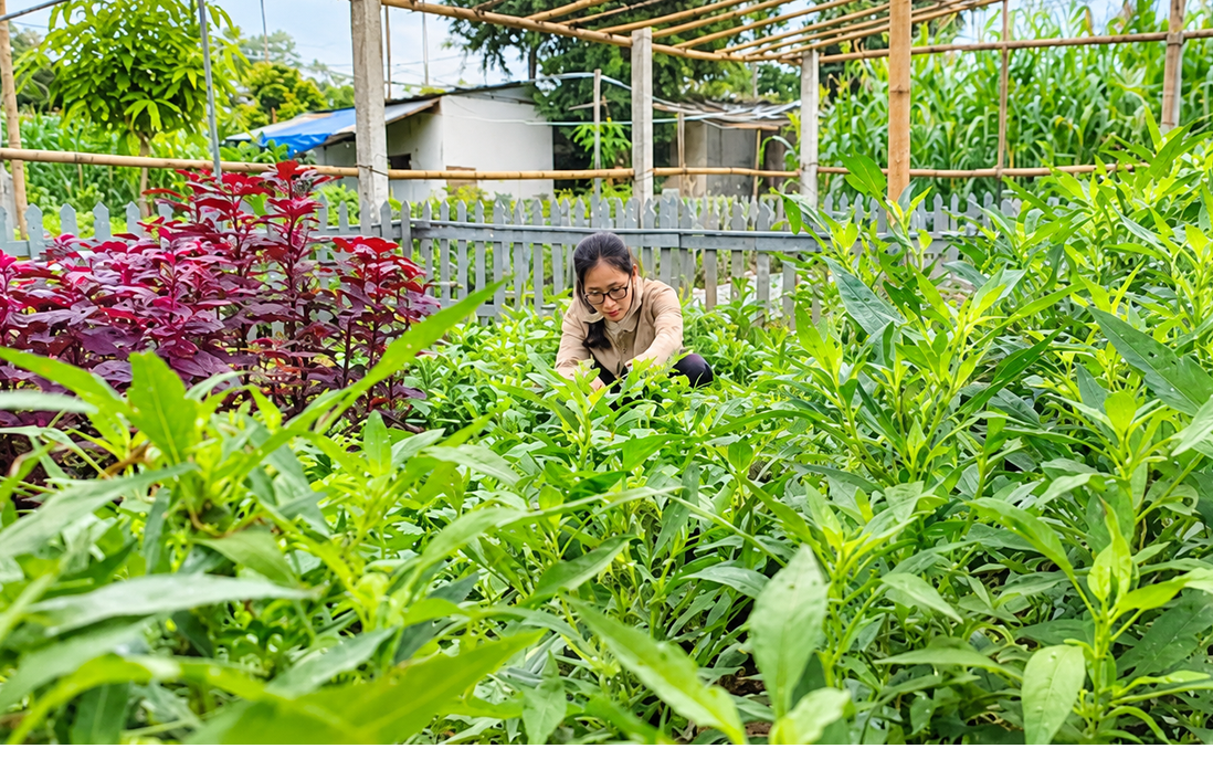 Cô gái bỏ việc viễn thông, khởi nghiệp với mô hình kinh doanh xanh