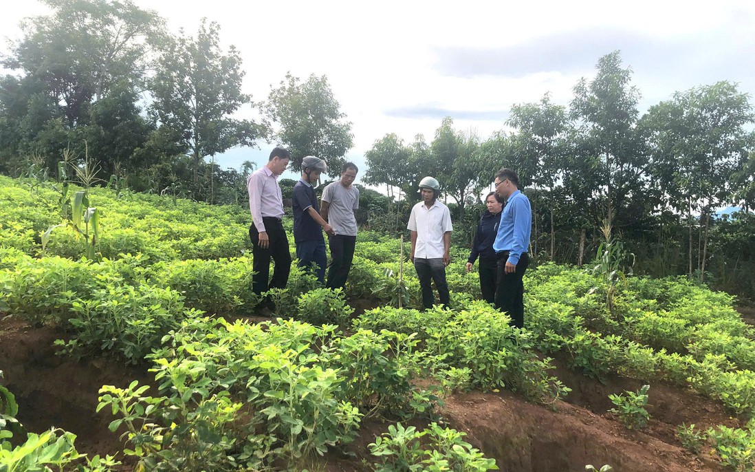 Chương mới ấm no của vùng đất từng bị đói nghèo ám ảnh