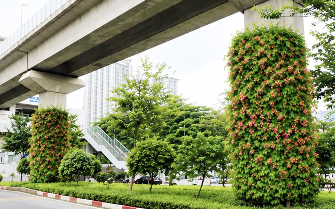 Hà Nội thí điểm phủ xanh trụ cầu, hầm chui