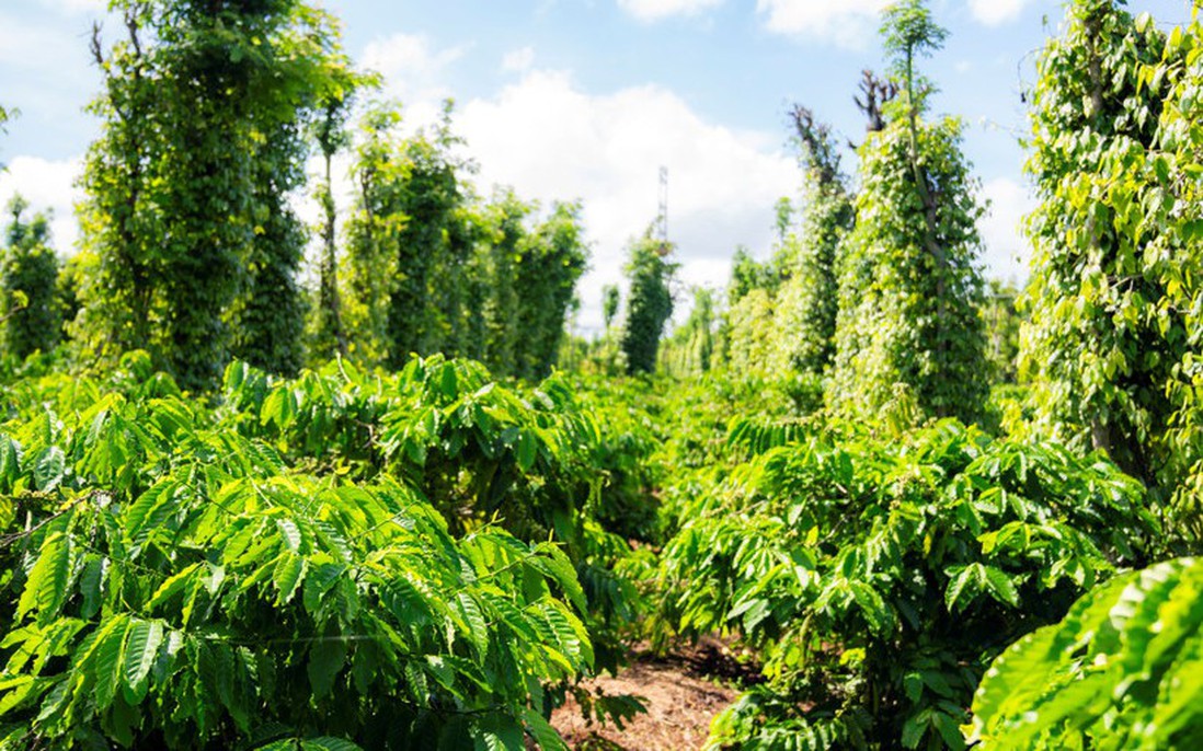 Bộ Tài chính thông tin một số chính sách mới về tiền sử dụng đất năm 2026