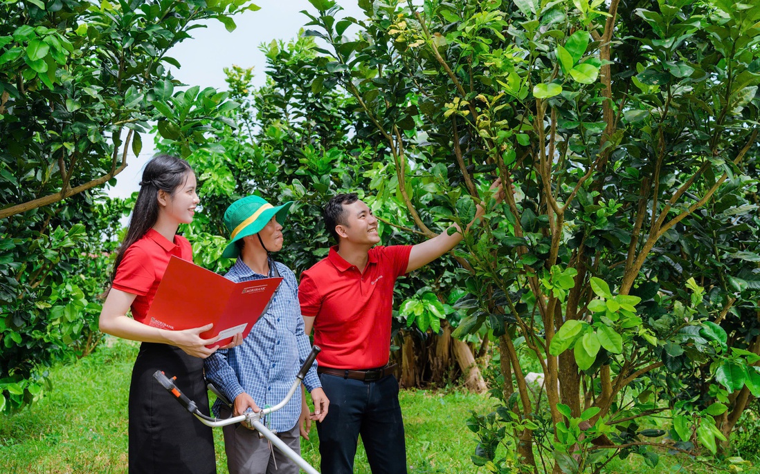 Agribank triển khai chính sách phát triển nông nghiệp, nông thôn, tích cực hỗ trợ khách hàng phát triển kinh tế