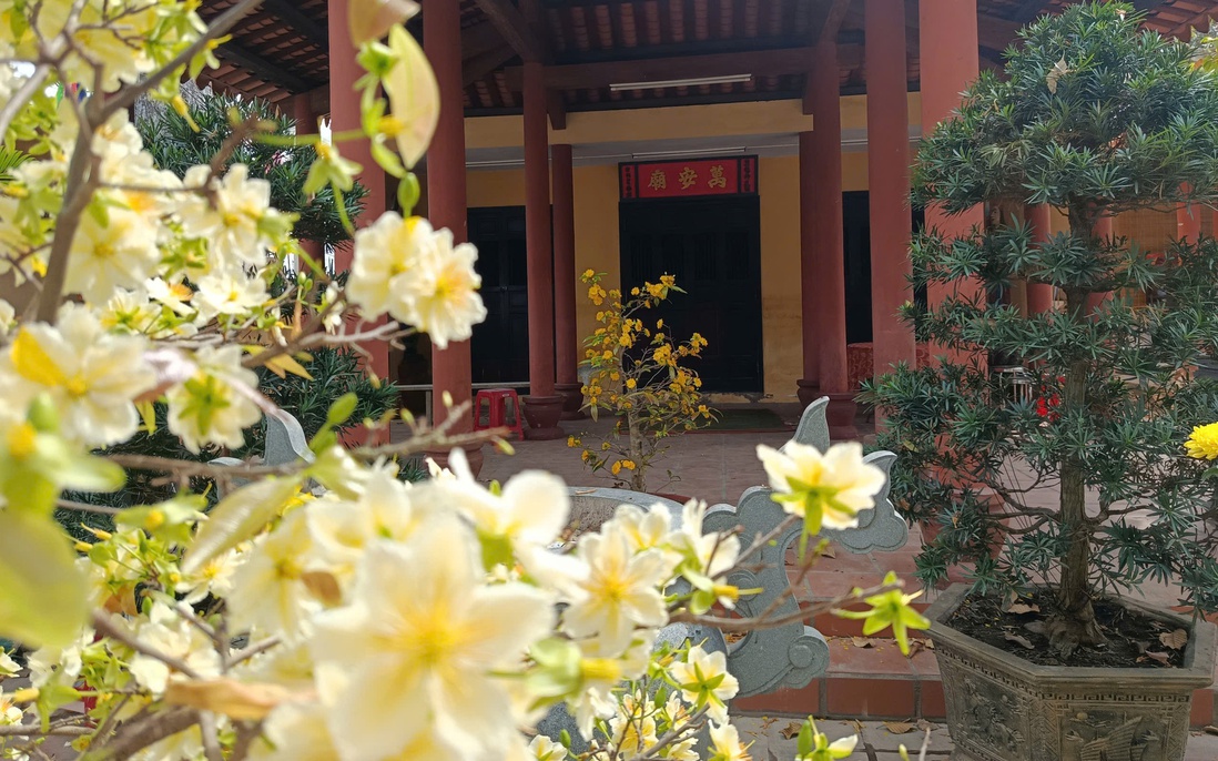 2 di tích quốc gia ở Khánh Hòa "khoác áo xuân" sau phản ánh của Báo Phụ nữ Việt Nam