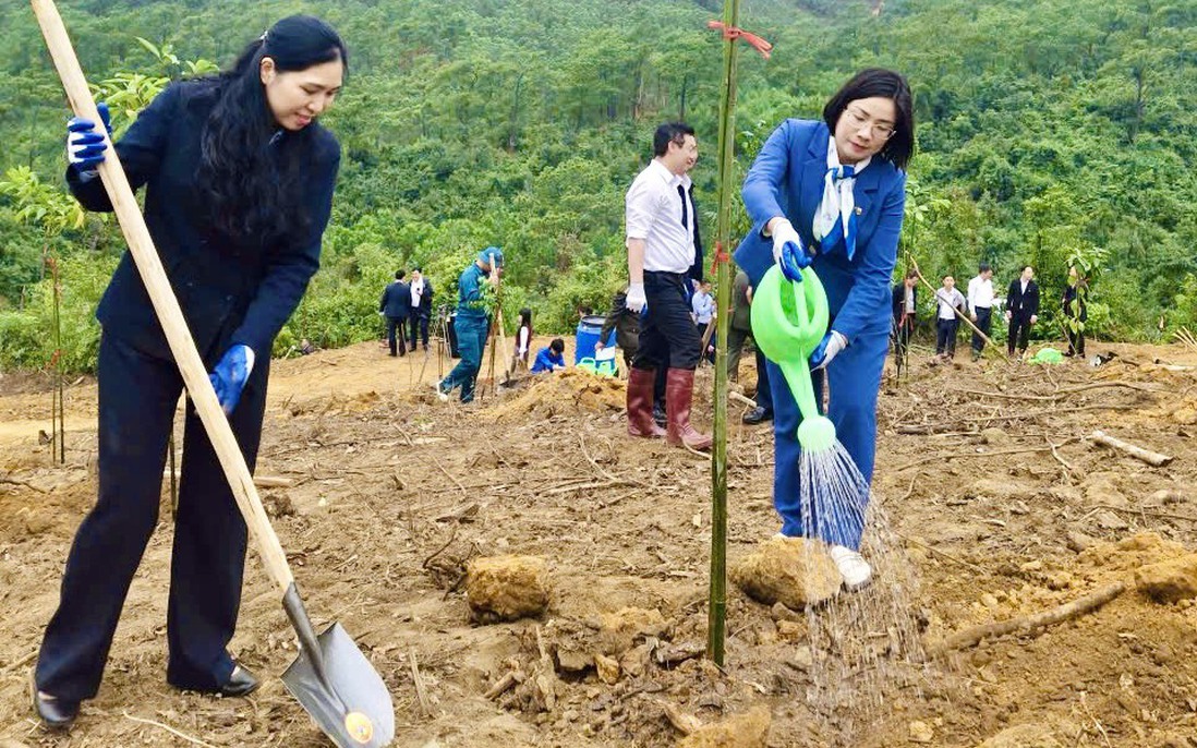 Phụ nữ Quảng Ninh hưởng ứng "Tết trồng cây" 2026