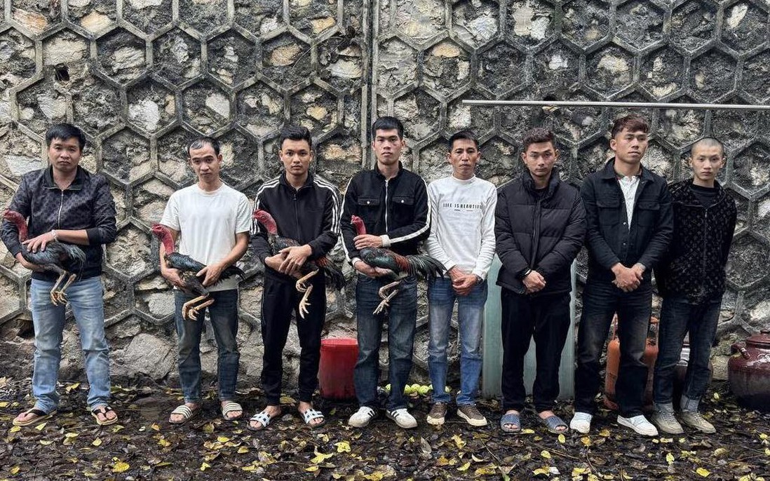 Tuyên Quang: Khởi tố vụ đánh bạc tại Lễ hội Động Tiên