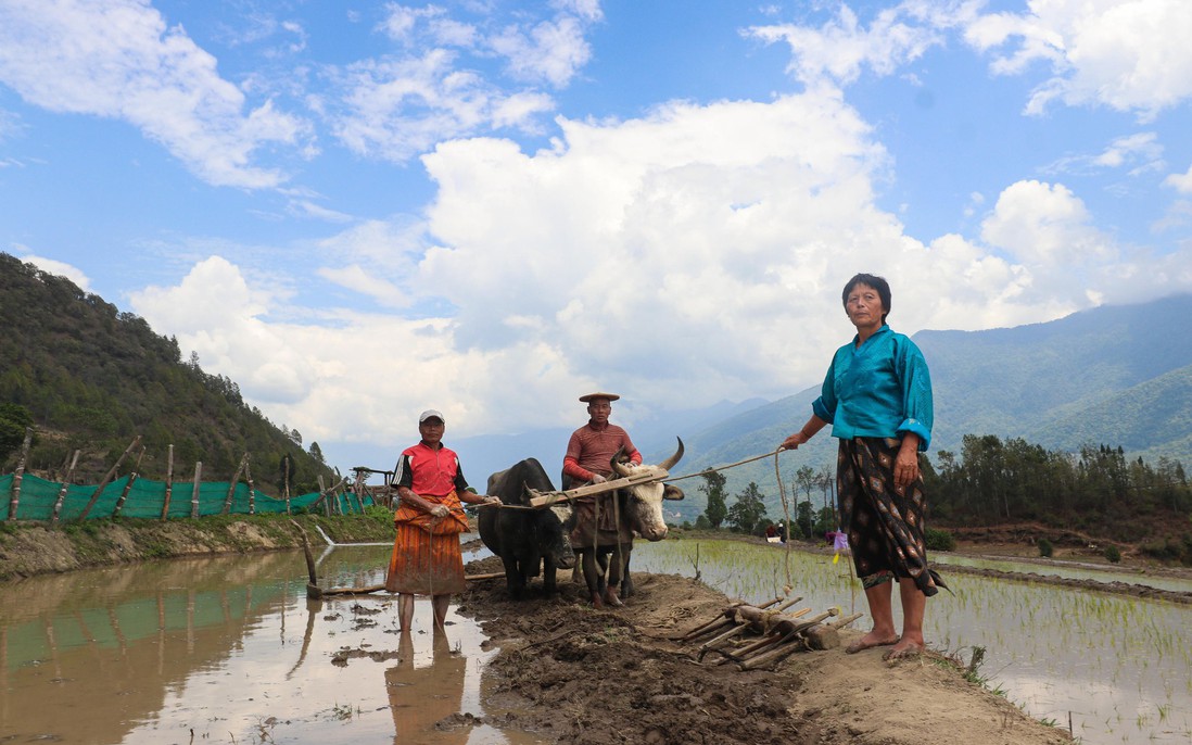 Bình đẳng giới - Nền tảng cho an ninh lương thực bền vững