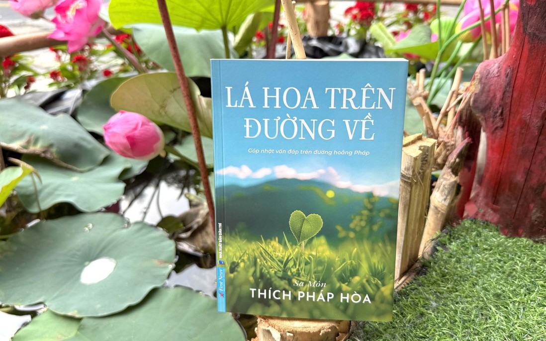Gỡ rối đời sống bằng tinh thần Phật pháp