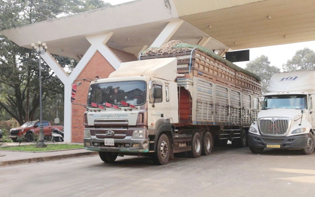 Tạm dừng áp dụng Nghị định số 46 về an toàn thực phẩm đến hết ngày 15/4