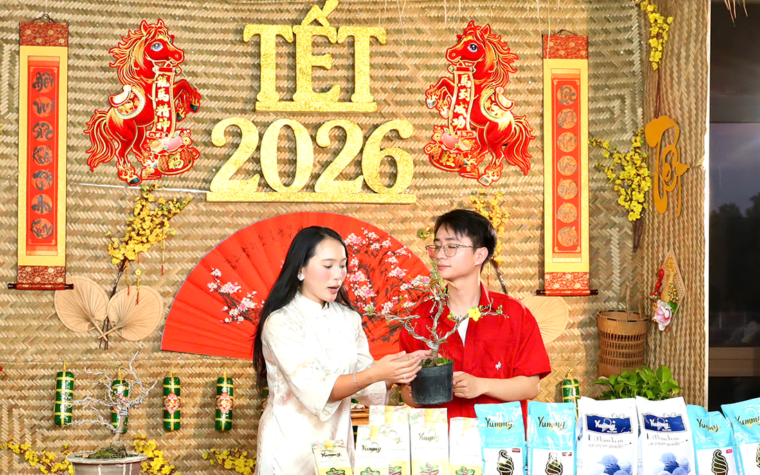 TPHCM: Đưa sắc mai Bình Lợi lên sóng livestream khi Tết cận kề